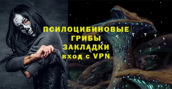 ALPHA-PVP Алексеевка