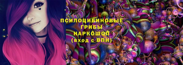 ГАЛЛЮЦИНОГЕННЫЕ ГРИБЫ Абинск